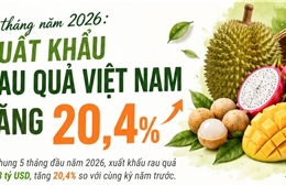5 tháng năm 2026: Xuất khẩu rau quả tăng 20,4%