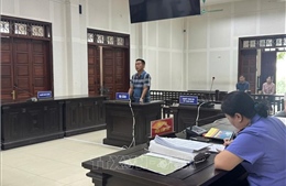 Lĩnh án 4 năm tù vì hủy hoại hơn 10 ha rừng tự nhiên