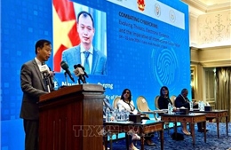 Ai Cập thúc đẩy triển khai Công ước Hà Nội về chống tội phạm mạng