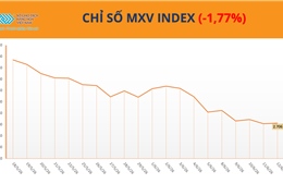 Chỉ số MXV-Index đánh mất 1,8%, cà phê nổi bật giữa nhịp điều chỉnh của thị trường