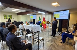 Việt Nam, Brazil tăng cường hợp tác trong lĩnh vực năng lượng tái tạo