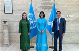 IFAD đánh giá cao vai trò chủ động, có trách nhiệm của Việt Nam
