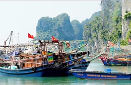 Công khai 35 điểm neo đậu tàu thuyền trên vịnh Hạ Long và Bái Tử Long