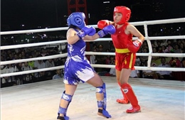 Khai mạc Đại hội Thể dục, Thể thao môn Kickboxing tỉnh Gia Lai