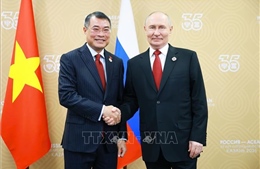 Thủ tướng Chính phủ Lê Minh Hưng hội kiến Tổng thống Nga Vladimir Putin