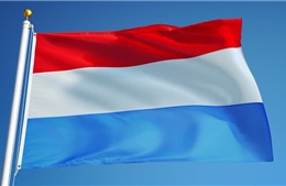 Điện mừng kỷ niệm Quốc khánh Đại Công quốc Luxembourg