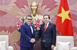Thúc đẩy quan hệ truyền thống, hợp tác hữu nghị giữa Việt Nam và Palestine