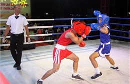 Gia Lai có tiềm năng lớn về bộ môn Boxing
