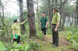 'Gác lửa rừng' mùa nắng nóng