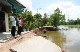 Đồng Tháp triển khai đồng bộ giải pháp phòng, chống sụt lún, sạt lở đến năm 2035