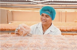 Phát huy vai trò tiên phong của thanh niên trong kỷ nguyên mới