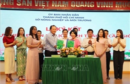 Triển khai dự án du lịch sinh thái đầu tiên tại rừng phòng hộ Cần Giờ