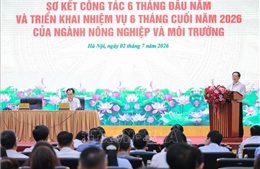 Cải cách thể chế, tạo dư địa tăng trưởng cho nông nghiệp, môi trường