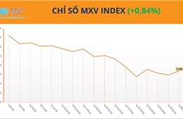 Lực mua chiếm ưu thế, MXV-Index tăng nhẹ lên 2.568 điểm phiên cuối tháng 6