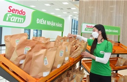 Từ ngày 10/7, Sen Đỏ dừng Sendo Farm để tái cơ cấu hoạt động