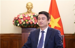 Việt Nam và Ghana thúc đẩy hợp tác trên các lĩnh vực tiềm năng
