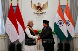 Indonesia và Ấn Độ mở rộng hợp tác trên nhiều lĩnh vực chiến lược