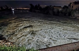 Bão số 1 đi vào khu vực bờ biển Móng Cái (Quảng Ninh), đề phòng gió mạnh, mưa lớn, lũ quét và sạt lở