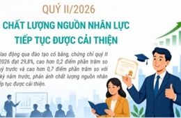 Quý II/2026: Chất lượng nguồn nhân lực tiếp tục được cải thiện