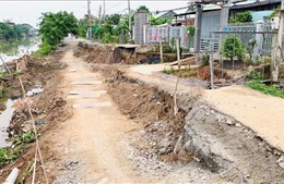 An Giang khẩn trương xử lý sạt lở bờ Bắc kênh Đòn Dong