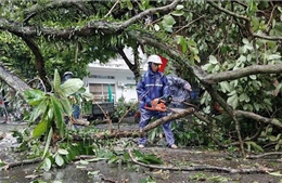 Quảng Ninh nhanh chóng khắc phục hậu quả bão số 1