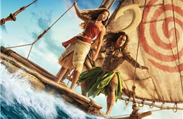 Câu chuyện điện ảnh: 'Moana' lên ngôi phòng vé nhưng chưa tạo 'cơn sốt'