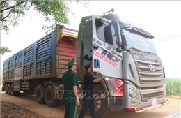 Xây dựng cửa khẩu số, tạo động lực phát triển kinh tế biên mậu