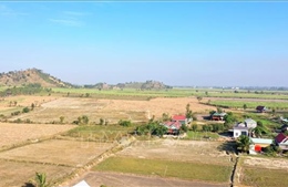 Phê bình hàng loạt đơn vị vì chậm tiến độ các dự án tái định cư vùng thiên tai