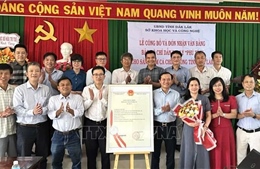 Nâng tầm thương hiệu cá chình bông Phú Yên