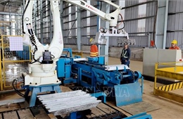 Cơ hội hình thành chuỗi giá trị mới từ lợi thế nông nghiệp, khoáng sản