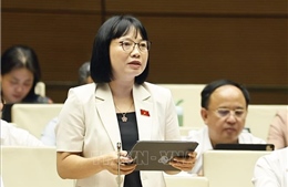 Không tạo khoảng trống pháp lý khi cắt giảm các ngành, nghề đầu tư kinh doanh có điều kiện