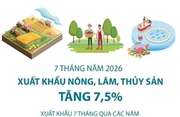 7 tháng năm 2026: Xuất khẩu nông, lâm, thủy sản tăng 7,5%