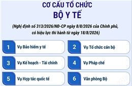 Cơ cấu tổ chức của Bộ Y tế