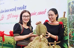 120 tác phẩm góp sức quảng bá thương hiệu sầu riêng Đắk Lắk