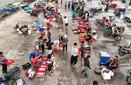 Nhịp sống sôi động tại cảng cá Cửa Nhượng