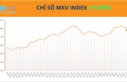 Lực mua áp đảo trên thị trường hàng hóa, giá dầu thô và lúa mì đồng loạt tăng gần 6%
