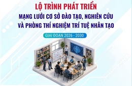 Lộ trình phát triển mạng lưới cơ sở đào tạo, nghiên cứu và phòng thí nghiệm trí tuệ nhân tạo giai đoạn 2026-2030