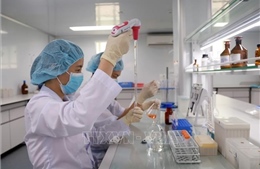Tạo mạng lưới chuyên gia, nhà khoa học làm động lực phát triển mới