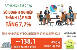 8 tháng năm 2026: Số doanh nghiệp thành lập mới tăng 7,7%