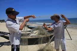Khánh Hòa cho phép doanh nghiệp tư nhân xuất khẩu cá nóc