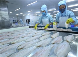 CPTPP: Sản phẩm chế biến sẽ là thách thức của nông nghiệp Việt Nam