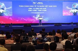 Kinh tế tư nhân trụ cột kiến tạo động lực tăng trưởng mới - Bài 1