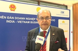 Chủ tịch IVCCI: Ấn Độ và Việt Nam tăng cường hợp tác đúng thời điểm