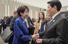 Tuần lễ Cấp cao APEC 2025: Chủ tịch nước Lương Cường gặp lãnh đạo một số thành viên APEC