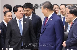 Chủ tịch nước Lương Cường gặp Tổng Bí thư, Chủ tịch Trung Quốc Tập Cận Bình