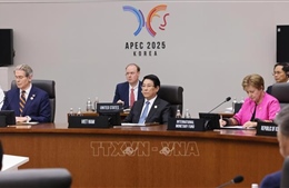 Chủ tịch nước Lương Cường dự Hội nghị Cấp cao APEC lần thứ 32