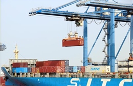 Thành lập chỉ mất 5-7 ngày, vì sao giải thể doanh nghiệp kéo dài vài năm?
