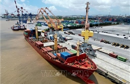 Truyền thông Mỹ: Việt Nam có khả năng chống chịu ấn tượng trước sức ép toàn cầu