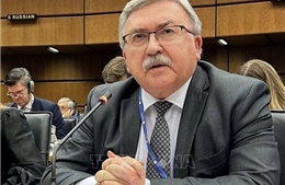 Nga, Trung Quốc, Iran nhấn mạnh giải pháp ngoại giao cho vấn đề hạt nhân