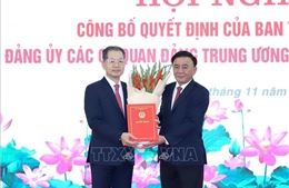Ông Nguyễn Văn Quảng giữ chức Bí thư Đảng ủy Tòa án nhân dân tối cao